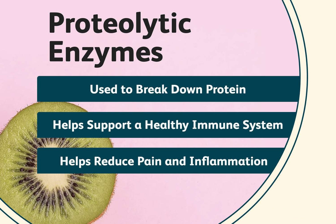 How Proteolytic Enzymes Provide Systemic Support for Inflammation & Recovery