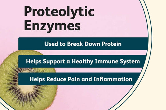 How Proteolytic Enzymes Provide Systemic Support for Inflammation & Recovery
