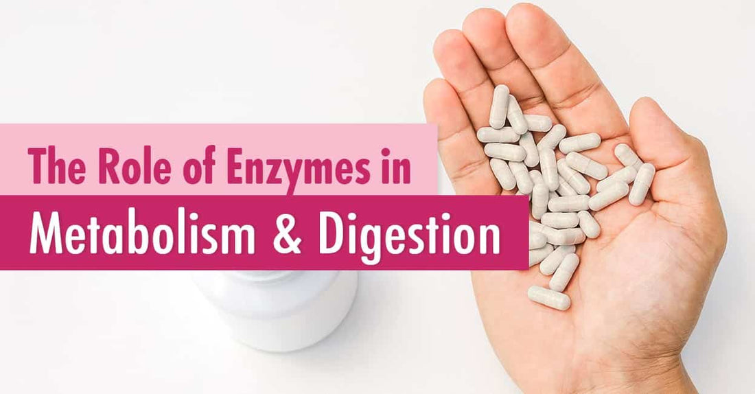 Why a Complete Digestive Enzyme Formula Matters: Beyond One-Size Supplements