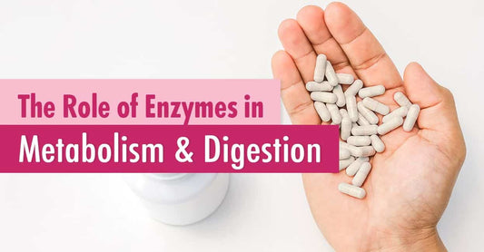 Why a Complete Digestive Enzyme Formula Matters: Beyond One-Size Supplements