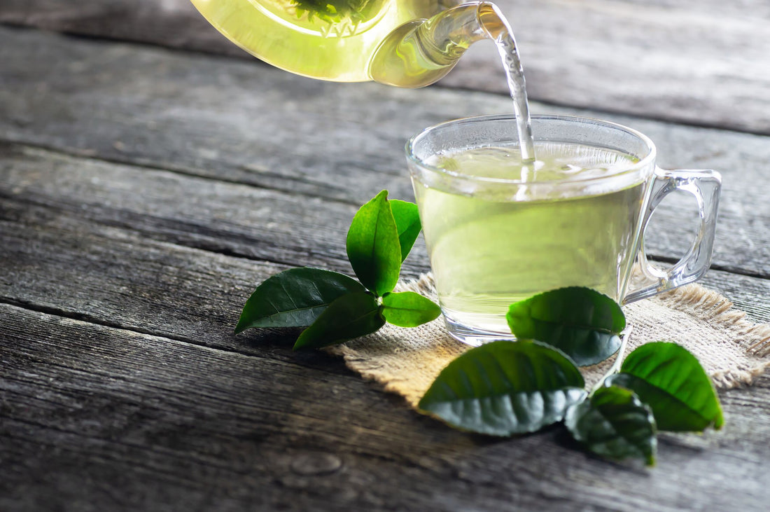 best green tea supplement for weight loss
