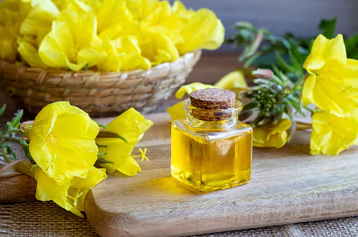 Evening primrose oil benefits