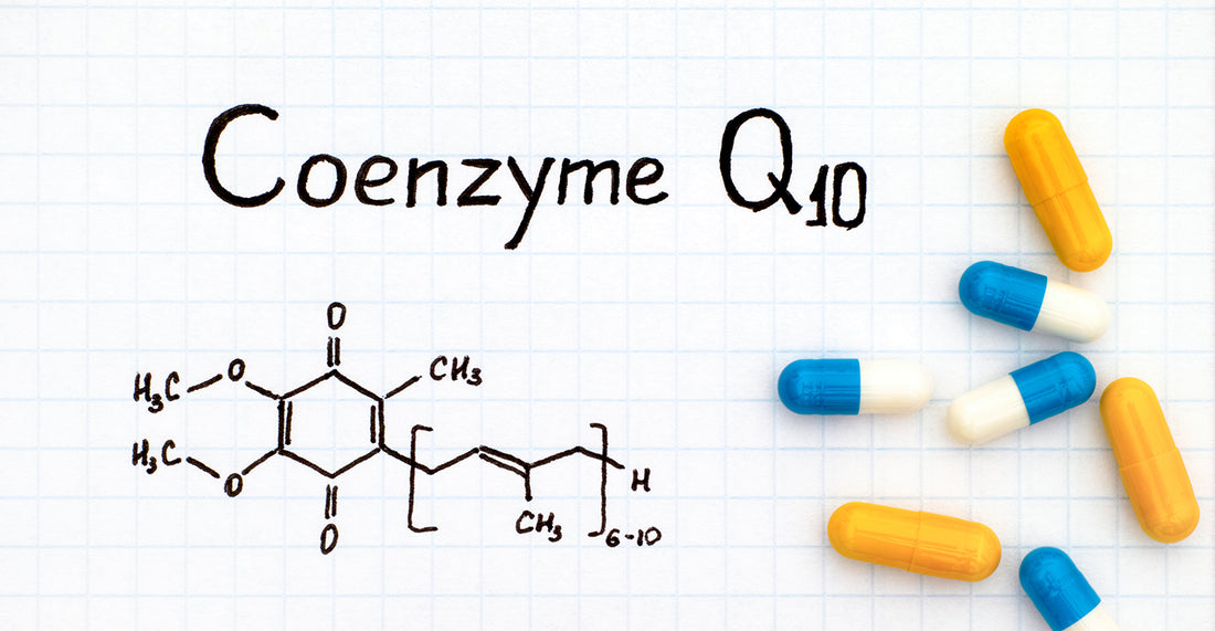 what does coenzyme q10 do
