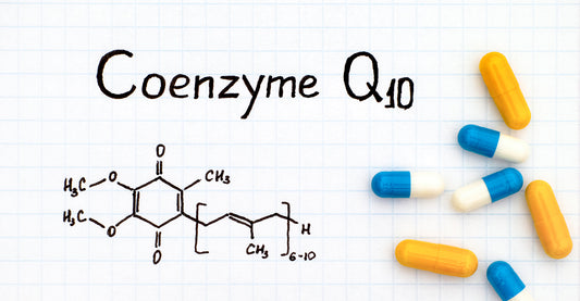 what does coenzyme q10 do