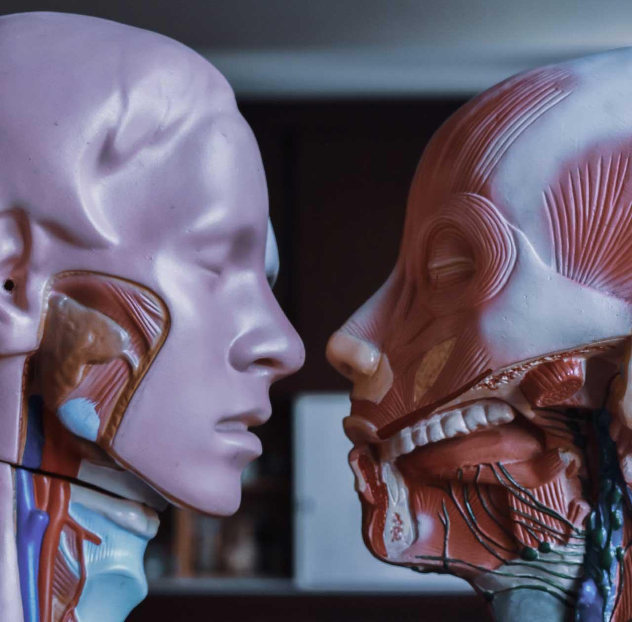 Blood Circulation Nutrients & Heart Health Supplements