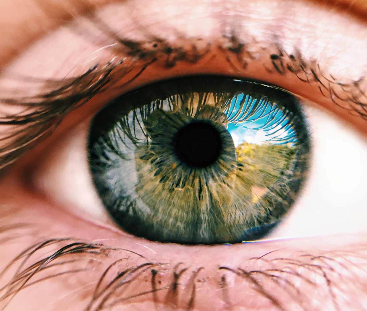 Vision Support