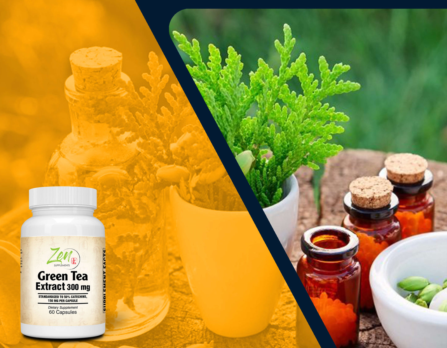 Green Tea Extract 300mg - With Antioxidants & Polyphenols - 60 Caps