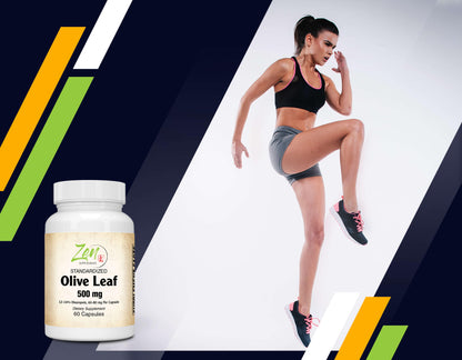 Olive Leaf Extract 500mg - Standardized Oleuropein Antioxidant - 60 Caps