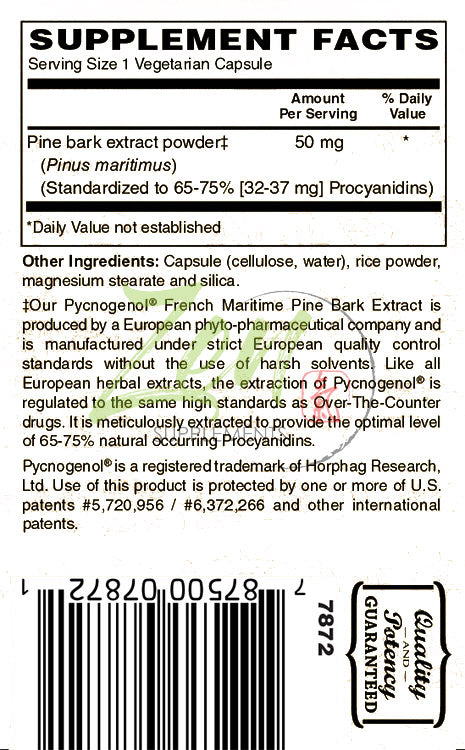 Pycnogenol Antioxidant 50mg - French Marine Pine Bark - 60 Vegcaps