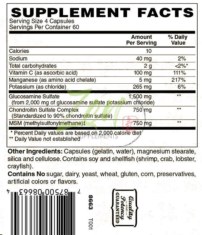 Glucosamine Chondroitin MSM - 240 Caps